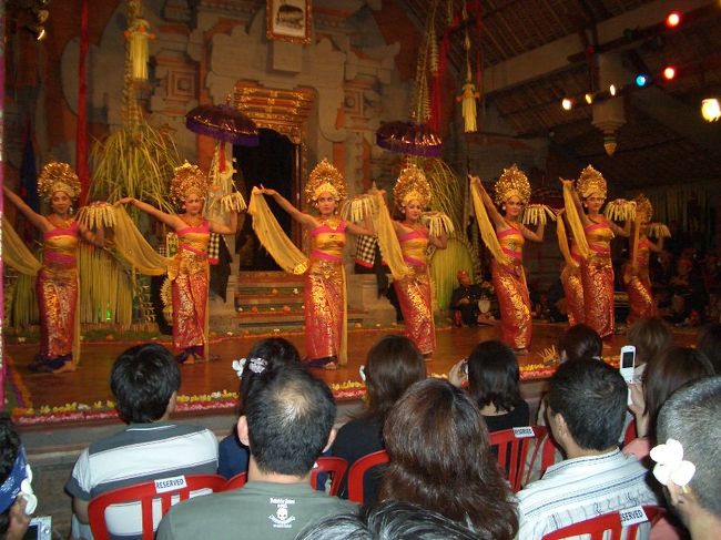 バリダンスはとても優雅で美しかったです。<br />子供たちは小さい時から踊りの修行をするのです。