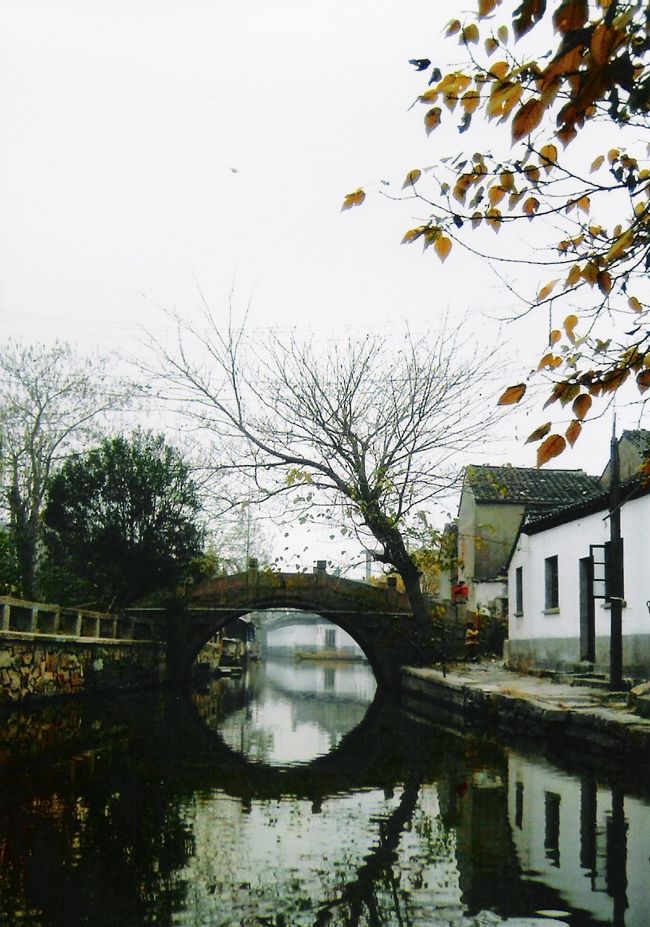 でもなんか落ち着いていて、綺麗。