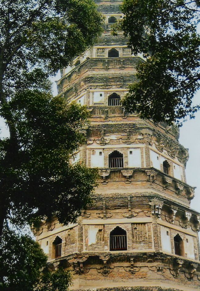 確か、これは、虎丘・・・だったと思う。斜めになってるやつ。