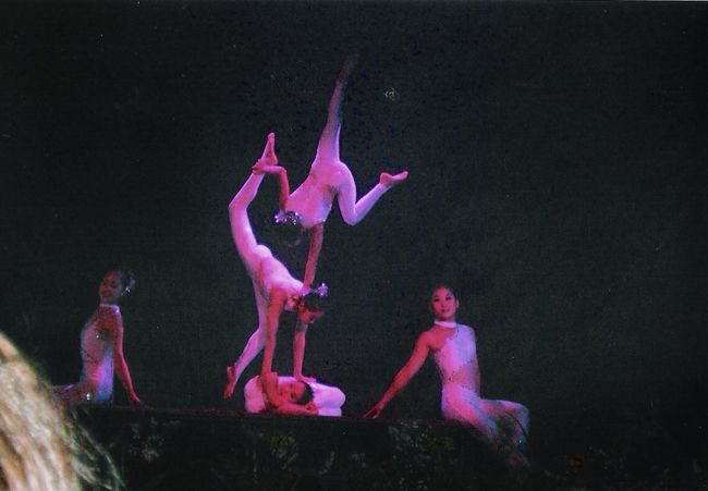 そして雑技団も鑑賞。これはすごかった。<br />すごい練習してるんだろな〜と。<br /><br /><br />以上、ツアーでは短期間でたくさんのところに行けることが分かった。でも、一方で、結局どこに行ったのか、自力じゃない分、分からないで終わってしまったりすることも分かった。でも気楽に楽しめて良かった。<br /><br />また上海に行く機会があれば行きたいなーと思う。<br /><br />サントリーウーロン茶の宣伝を見る度そう思っていた。