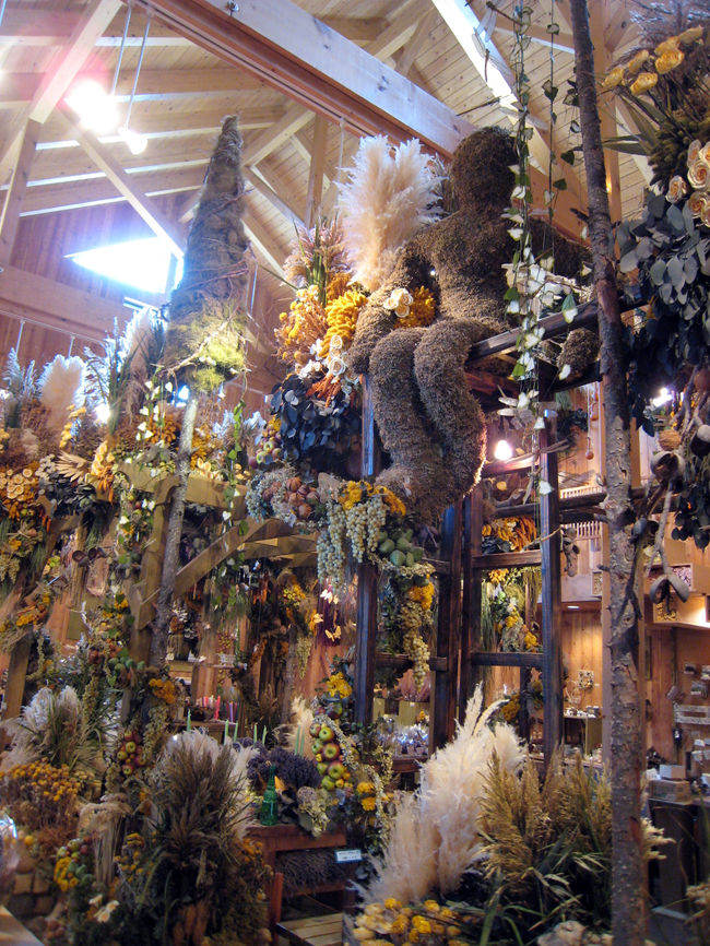 上の方には、人が座っています。<br />こんな、ドライフラワーの展示をみるのが初めてで、ちょっと感動していました。