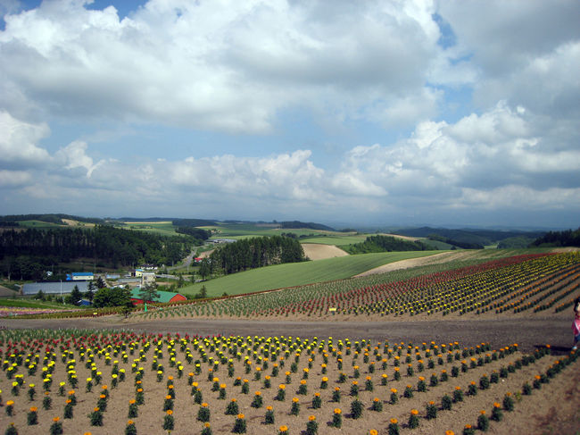 眺めが良い。遠くの丘まできれいで、なんか癒されますね。<br />