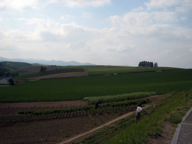 新栄の丘<br />まあまあの展望公園。<br />農家？の人たちが、丁寧に作業している風景がサマになっている。