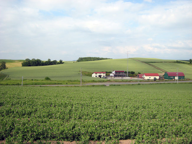 パッチワークの路<br />グリーンの丘にはいる、赤い屋根の家。<br />色合いが良いなー