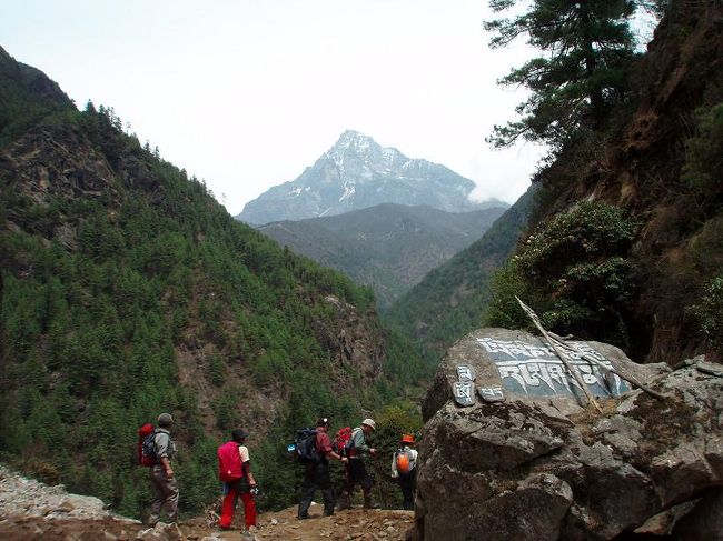 チェックポストを過ぎると、急な下りとなりました。