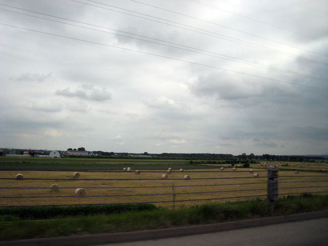 途中、北海道ならでは？の景色発見
