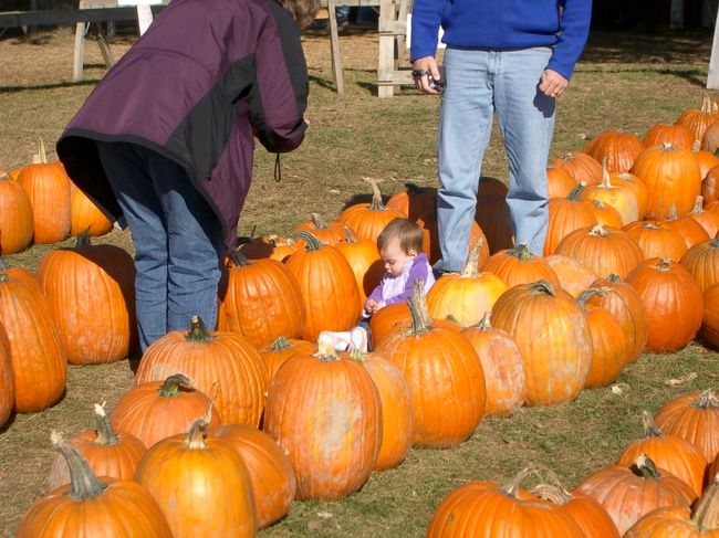 子供がかわいい〜〜。<br />自分の顔よりも大きなパンプキン。<br />