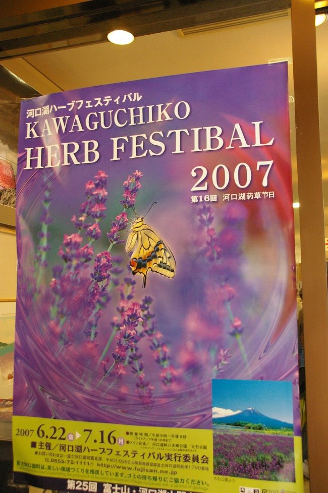 今回のお目当て<br />「河口湖ハーブフェスティバル」