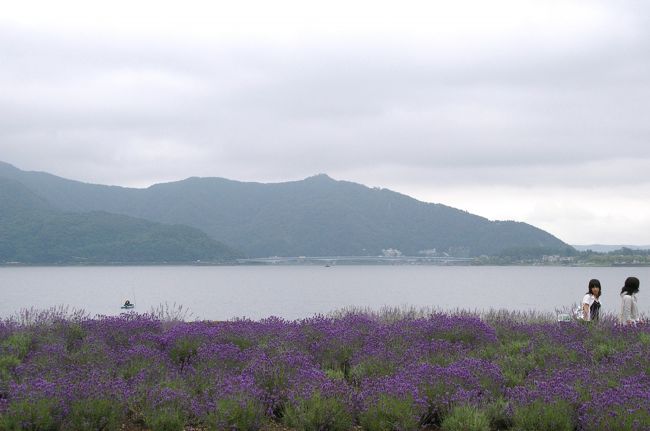 目の前は河口湖。<br />それにしても残念〜。<br />晴れていれば富士山が見られたのに。。。