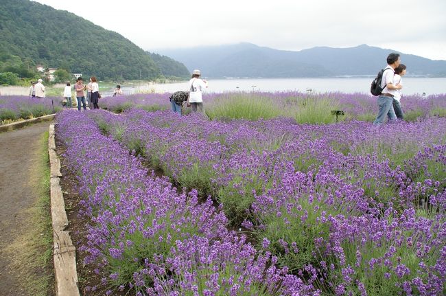 思っていたよりも規模が小さいですね〜。<br />でも、こんなものなのかなぁ・・・？