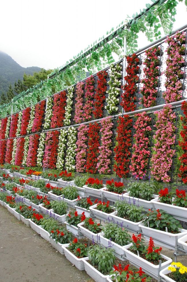 花のナイアガラと書いてありました。<br />・・・ん〜〜いま改めて写真で見ても<br />なんというか・・・微妙〜・・・<br /><br />わざわざ作ったのだろうけど・・・<br />微妙〜・・・<br /><br />