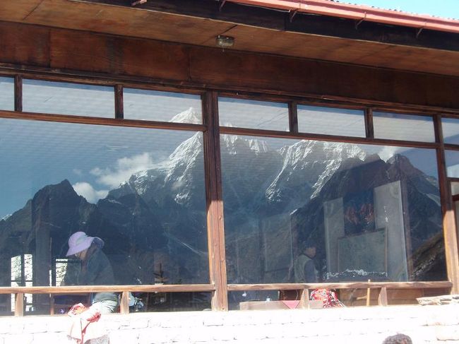 窓ガラスに映るタウツェ。