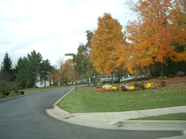 10/16 おはようございます！<br />今日から会議です。<br /><br />会議場まで車で向かいます。<br />紅葉が綺麗。<br />