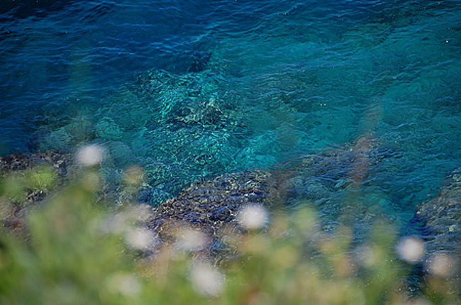 万座毛<br /><br />凄い高さなのに海が綺麗なのがよくわかる