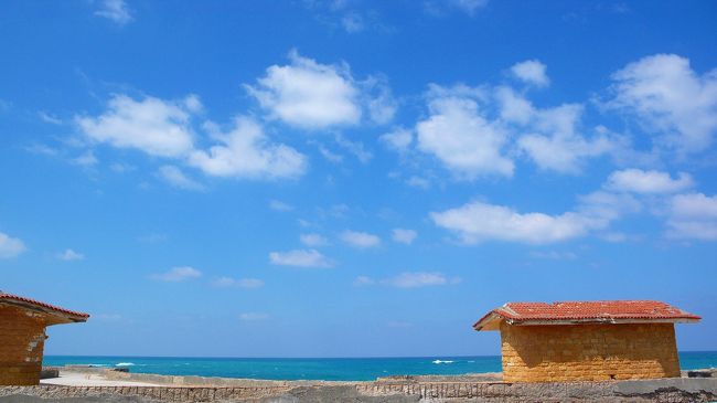 やっぱり地中海の感じがします。