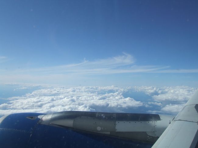 厚い雲に覆われて、下が見えませんでした。