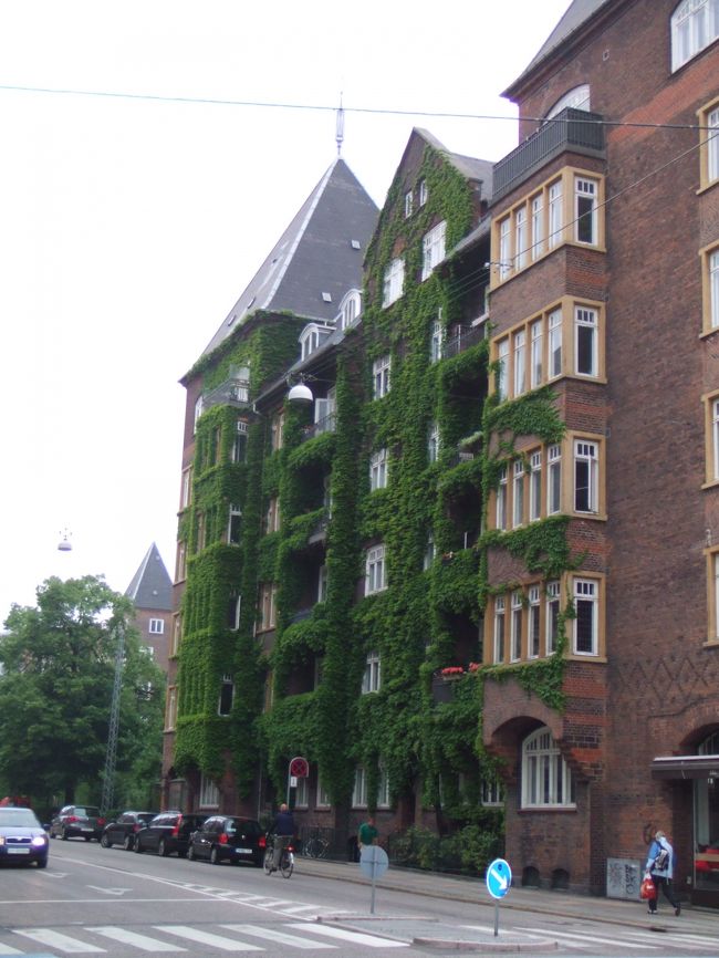 ツタに覆われていたマンション(？)、なんだか素敵です。