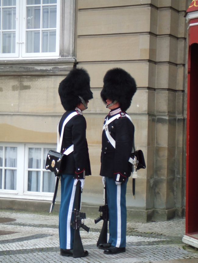 何やら伝達中。