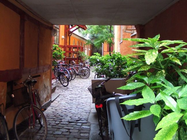 路地には自転車が。