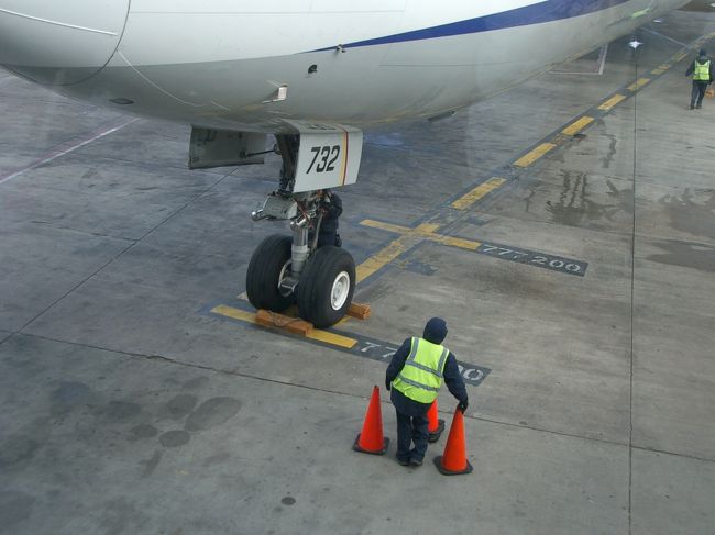 スタッフの色んな作業が見られます。<br />飛行機好きのMaiには、嬉しいラウンジです。<br />