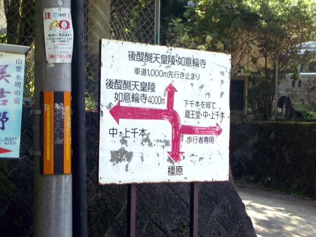 ■想い出さがし奈良１１５０ｋｍの旅<br /><br />●世界遺産「吉野山」<br />　吉野山ごあんない。<br />　下千本、中千本、上千本、後醍醐天皇陵、蔵王堂<br />･･･懐かしい響きです。<br />