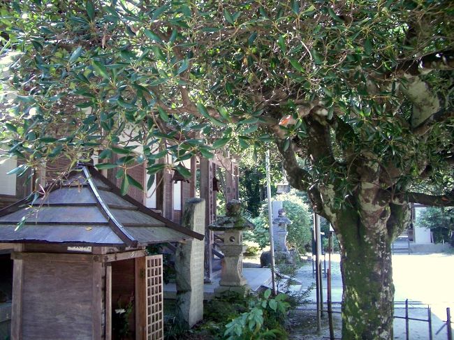 ■想い出さがし奈良１１５０ｋｍの旅<br /><br />●吉野如意輪寺<br /> 