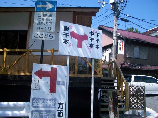 ■想い出さがし奈良１１５０ｋｍの旅<br /><br />●吉野山<br />　下千本（しもせんぼん）、中千本（なかせんぼん）、上千本（かみせんぼん）、奥千本（おくせんぼん）」と古くから花の名所として有名です。<br />　４月初旬から末にかけてこの期間多くの花見観光客が吉野を訪れます。<br />