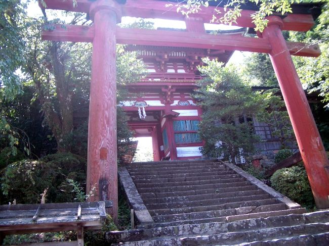 ■想い出さがし奈良１１５０ｋｍの旅<br /><br />●吉野山<br />