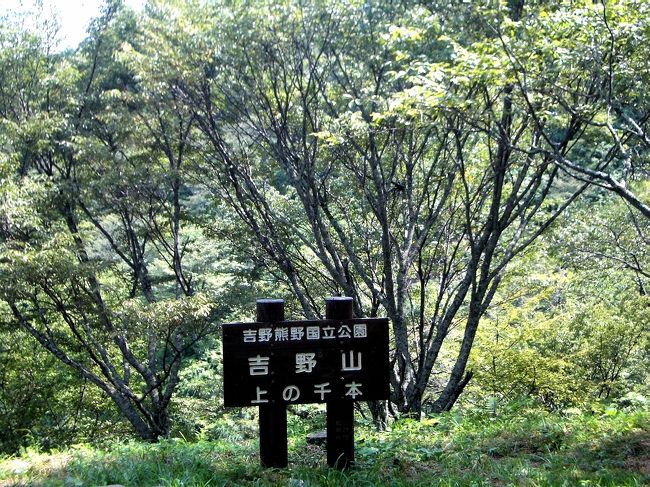 ■想い出さがし奈良１１５０ｋｍの旅<br /><br />●吉野山<br />　いずれも「一目千本」と呼ばれ、おのおの下千本、中千本、上千本、奥千本と称えられています。