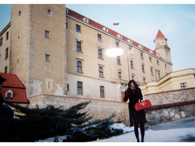 ブラチスラバ城です！！<br /><br />ちゃぶ台をひっくり返したようなお城の形！！<br /><br />お城の上のほうをみるとわかると思いますが♪