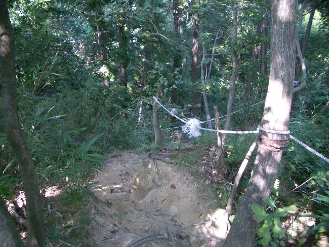 ■想い出さがし奈良１１５０ｋｍの旅<br /><br />●益田の岩船<br />　道らしき道がない。急な上り坂です。<br />　山道を登っていくと頂上に岩船があります。