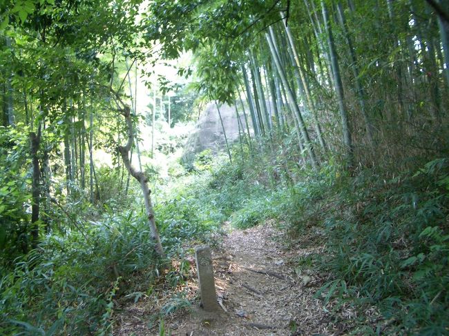■想い出さがし奈良１１５０ｋｍの旅<br /><br />●益田の岩船<br />　懐かしい。２０００年３月に妻と登った道です。
