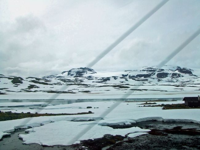 冬のような景色になってきました。