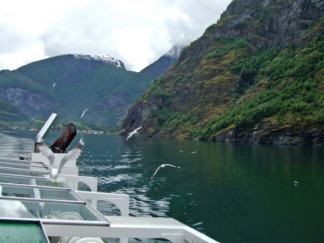 パンをあげる人がたくさんいました。<br />カモメもしっかり付いて来ます。