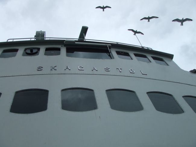 最後までカモメが一緒でした。