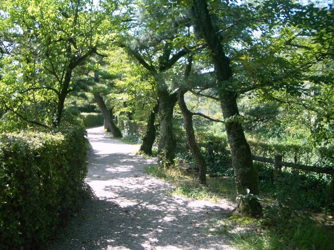 ■想い出さがし奈良１１５０ｋｍの旅<br /><br />●大和郡山城跡<br />　桜の名所としても有名で、城跡内を一周する散策道が整備されています。