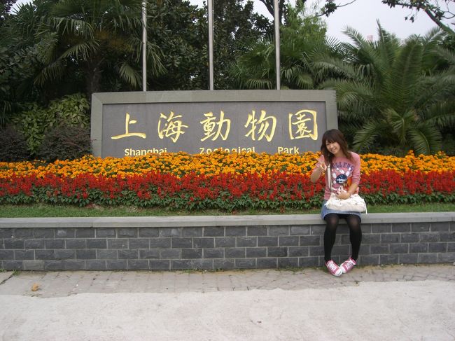 上海動物園に到着☆<br /><br />楽しみ〜♪