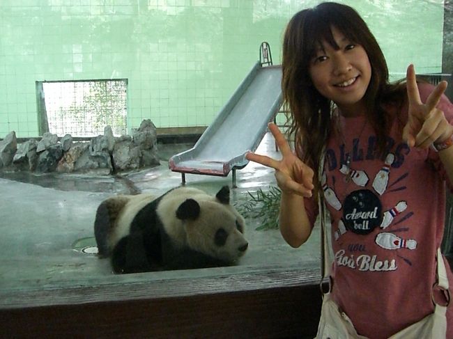 パンダと一緒に☆<br /><br />