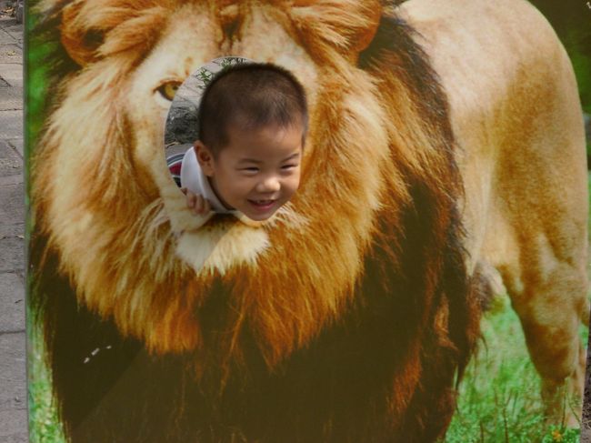 中国のキッズ☆<br /><br />可愛いー♪♪<br /><br />お母さんたちもいい人だった！！