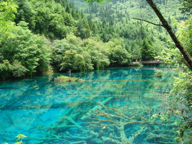 ２週間の予定が、土砂崩れもあり、ちょっと短くなりましたが、絶景地に行ってきましたので、報告します。。。<br />まず１枚目は最近日本のテレビ番組でもよく取れあげられてるので、見られた方も多いと思いますが、九塞溝（漢字がちょっと違いますが、うまくでないので…きゅうさいこう）です。。。<br />ここでは今までに見たこともないブルーに出会えることができました。。。<br />他にも原生林や滝など１日では見切れないぐらいの、風景がありました。。。<br />
