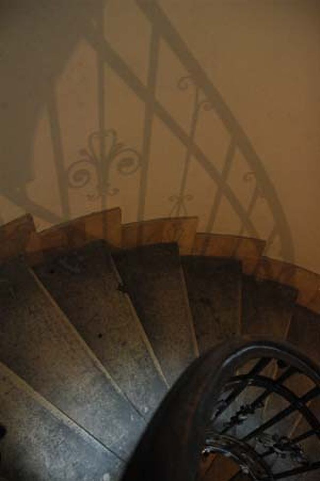 ただの螺旋階段なんですけど色合いと影が素敵でした。