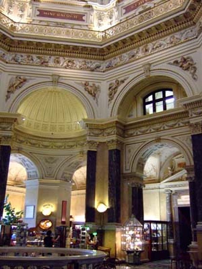 美術史博物館の向かいにあったので、なんとなく来ましたが、来て良かったです。（自然史博物館）