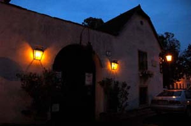 ハイリゲンシュタットを散策した後はやっぱりホイリゲで一杯！☆<br />気軽に飲めて食べられるので良かったです。