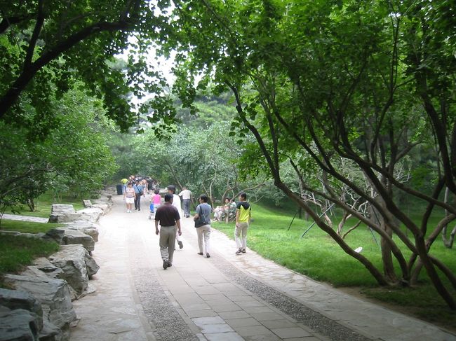 イワ園の中。<br />東宮門から北門まで1時間くらい。<br />木漏れ日が気持ちよかった。<br />