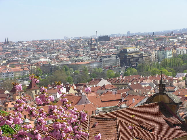 お城から見たプラハの街並み。<br />きれいでしょー。