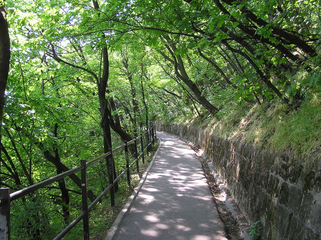 ゲッレールトの丘。<br />木のトンネル♪<br />素敵な散歩道。