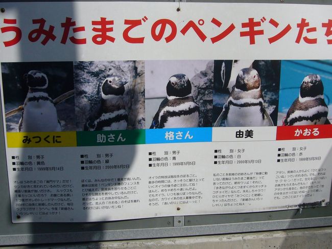 別府の絶景露天風呂とびっくり うみたまご 大分県の旅行記 ブログ By もーみいさん フォートラベル 別府の絶景露天風呂とびっくり うみたまご 大分県の旅行記 ブログ By もーみいさん フォートラベル