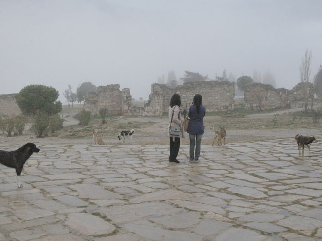 朝7時15分にホテルを出発する。ガスが立ち込め、時折強い雨が降る生憎の天気である。<br />まず、ヒエラポリスの南門駐車場から石灰棚まで歩く。<br />石灰棚前の広場には、野犬が多いのに驚く。