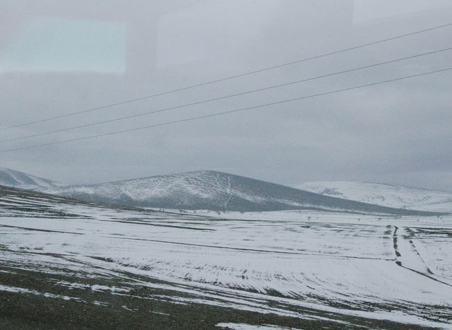 一面、雪でおおわれた平原。
