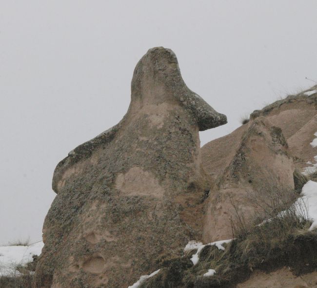 自然の奇観。ナポレオンの帽子。